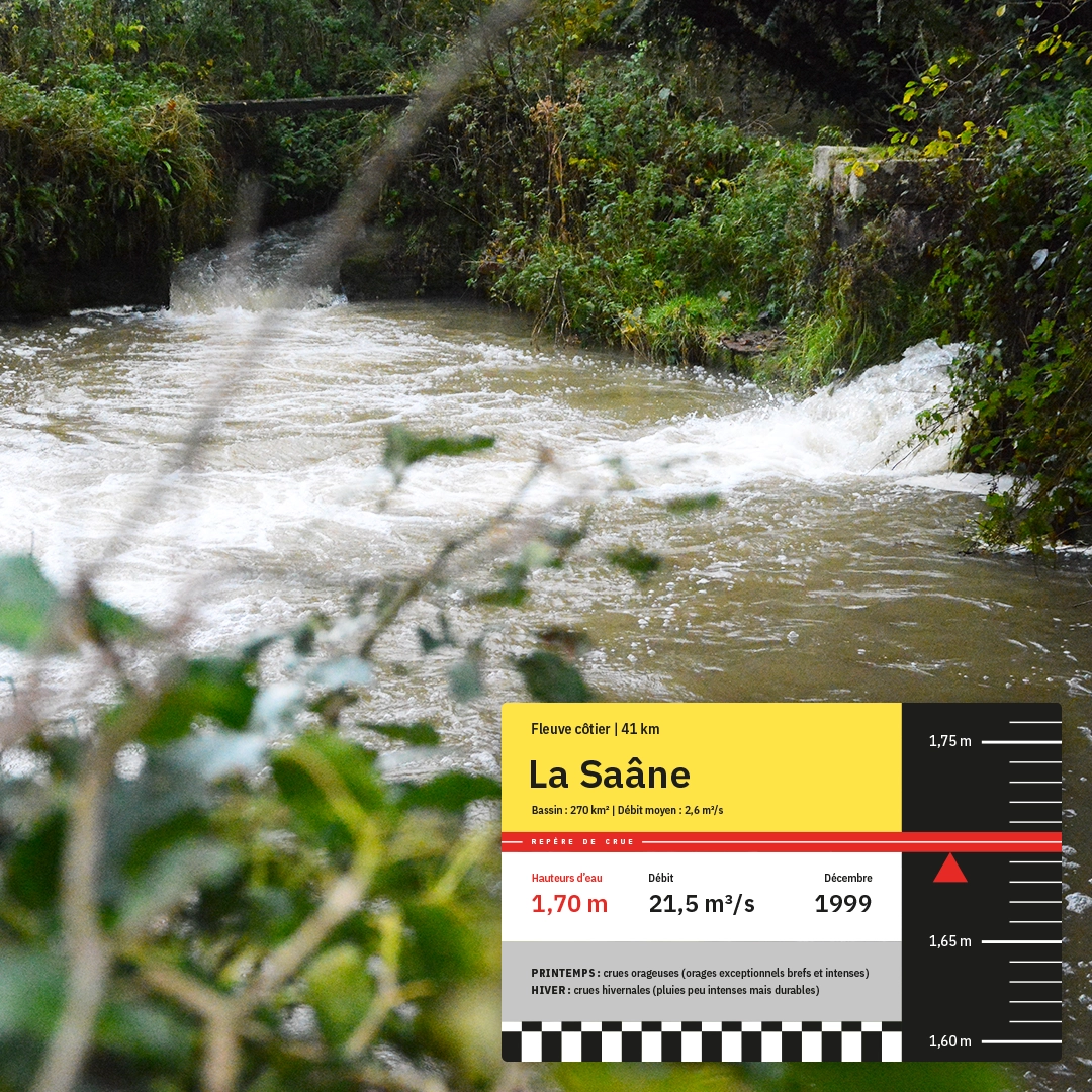 Système graphique de repère de crue permettant la mesure et la visualisation des inondations majeures des rivières et des fleuves, composition visuelle et typographique, datavisualisation